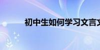 初中生如何學習文言文學習技巧