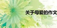 關于母愛的作文素材
