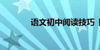 語文初中閱讀技巧【實用版】