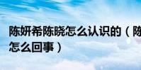 陳妍希陳曉怎么認識的(陳妍希與陳曉婚變是怎么回事)