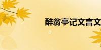 醉翁亭記文言文原文