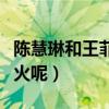 陳慧琳和王菲長得很像嗎（陳慧琳和王菲誰更火呢）