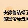 安德魯結婚了嗎？他的表演風格有點像《咆哮的皇帝馬景濤》