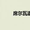 席爾瓦退役（席爾瓦為什么回家）