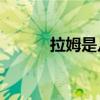 拉姆是幾號（拉姆為什么16號）