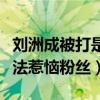 劉洲成被打是怎么回事（因表達對韓國藝人看法惹惱粉絲）