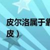 皮爾洛屬于靠山型后腰嗎（皮爾洛為什么叫睡皮）