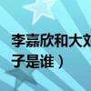 李嘉欣和大劉的事件什么情況（網傳滾燙肉丸子是誰）