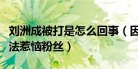 劉洲成被打是怎么回事(因表達對韓國藝人看法惹惱粉絲)