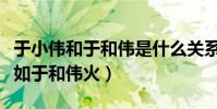 于小偉和于和偉是什么關系(于小偉為什么不如于和偉火)