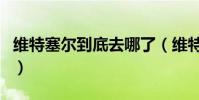 維特塞爾到底去哪了(維特塞爾為什么來中國)