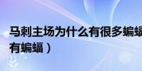 馬刺主場為什么有很多蝙蝠(馬刺為什么球場有蝙蝠)