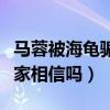 馬蓉被海龜騙財又騙色是真的嗎（馬蓉澄清大家相信嗎）