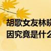 胡歌女友林曉是誰（揭秘胡歌和林曉分手的原因究竟是什么）