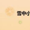 雪中小畫家文本的原文與賞析