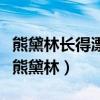 熊黛林長得漂亮嗎（郭富城最后為什么沒有娶熊黛林）
