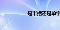 是半括還是單字符?