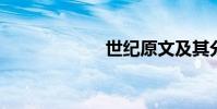 世紀原文及其分析
