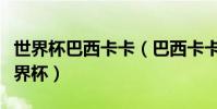 世界杯巴西卡卡(巴西卡卡為什么沒有參加世界杯)