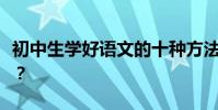 初中生學好語文的十種方法如何快速提高成績?