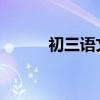 初三語文閱讀理解答題技巧綜述