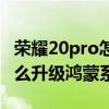 榮耀20pro怎么升級鴻蒙系統（榮耀20pro怎么升級鴻蒙系統）