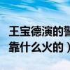 王寶德演的警匪電視劇有哪些（起底王寶德是靠什么火的）