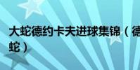 大蛇德約卡夫進球集錦(德約卡夫為什么叫大蛇)