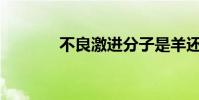 不良激進分子是羊還是工人?