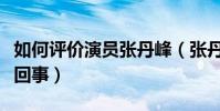 如何評價演員張丹峰(張丹峰與洪欣直接怎么回事)