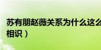 蘇有朋趙薇關系為什么這么(兩人因還珠格格相識)