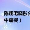 陳翔毛曉彤分手事件是怎么回事（陳翔曾節目中痛哭）