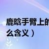 鹿晗手臂上的紋身是怎么回事（他的紋身有什么含義）