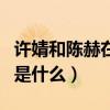 許婧和陳赫在一起多久（許婧與陳赫離婚原因是什么）