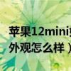蘋果12mini好還是小米10至尊（小米12mini外觀怎么樣）