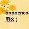 oppoencoair能改名嗎（OPPOEncoAir好用么）