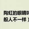 陶虹的眼睛叫什么眼（徐崢自夸陶虹眼睛和一般人不一樣）