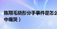 陳翔毛曉彤分手事件是怎么回事(陳翔曾節目中痛哭)