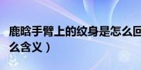 鹿晗手臂上的紋身是怎么回事(他的紋身有什么含義)