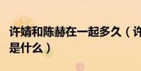 許婧和陳赫在一起多久(許婧與陳赫離婚原因是什么)