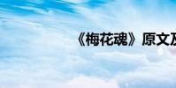 《梅花魂》原文及賞析