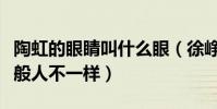 陶虹的眼睛叫什么眼(徐崢自夸陶虹眼睛和一般人不一樣)