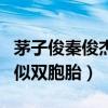 茅子俊秦俊杰什么關系引網友關注（兩人長相似雙胞胎）