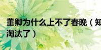 董卿為什么上不了春晚(知情人爆料董卿是被淘汰了)