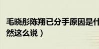 毛曉彤陳翔已分手原因是什么(陳翔毛曉彤竟然這么說)