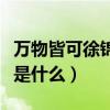 萬物皆可徐錦江下一句是什么（這個梗的意思是什么）