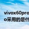 vivox60pro的os系統怎么運用（vivoX60Pro采用的是什么系統）