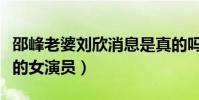 邵峰老婆劉欣消息是真的嗎(她也是一位優秀的女演員)