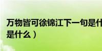 萬物皆可徐錦江下一句是什么(這個梗的意思是什么)