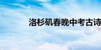 洛杉磯春晚中考古詩翻譯賞析